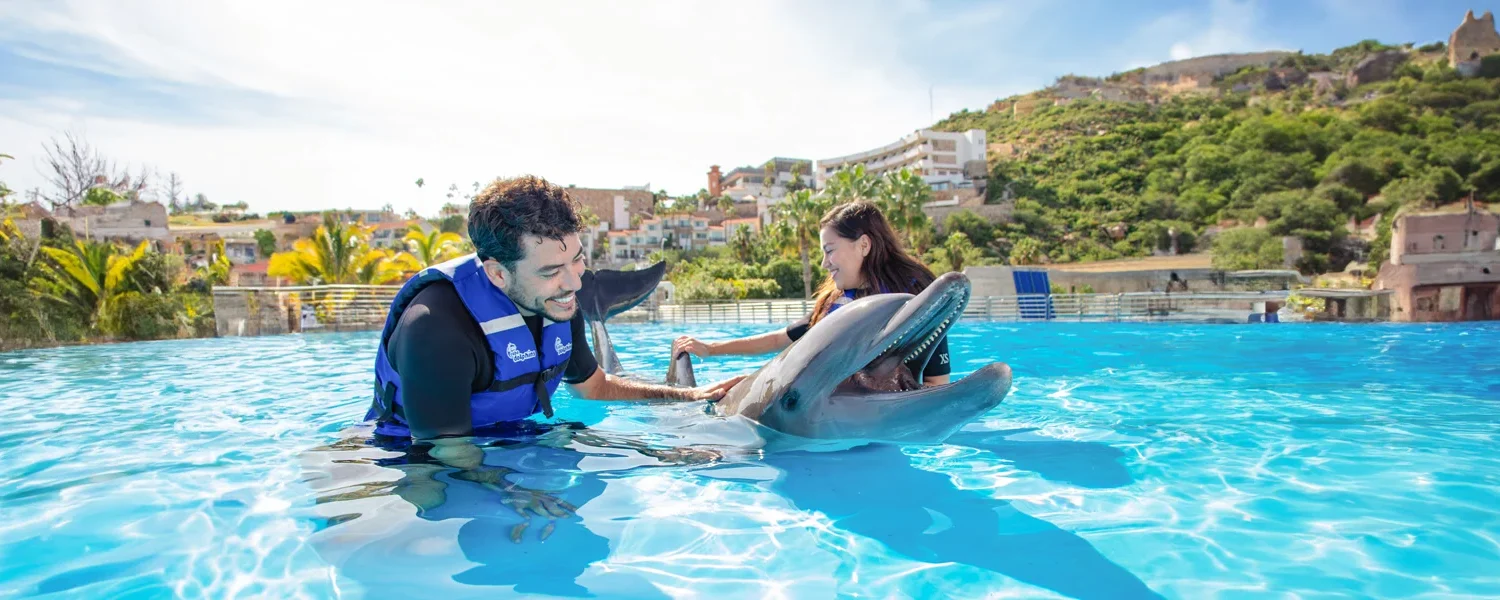 Dolphins Experience in Cabo