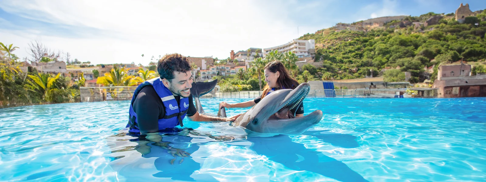 Dolphins Experience in Cabo