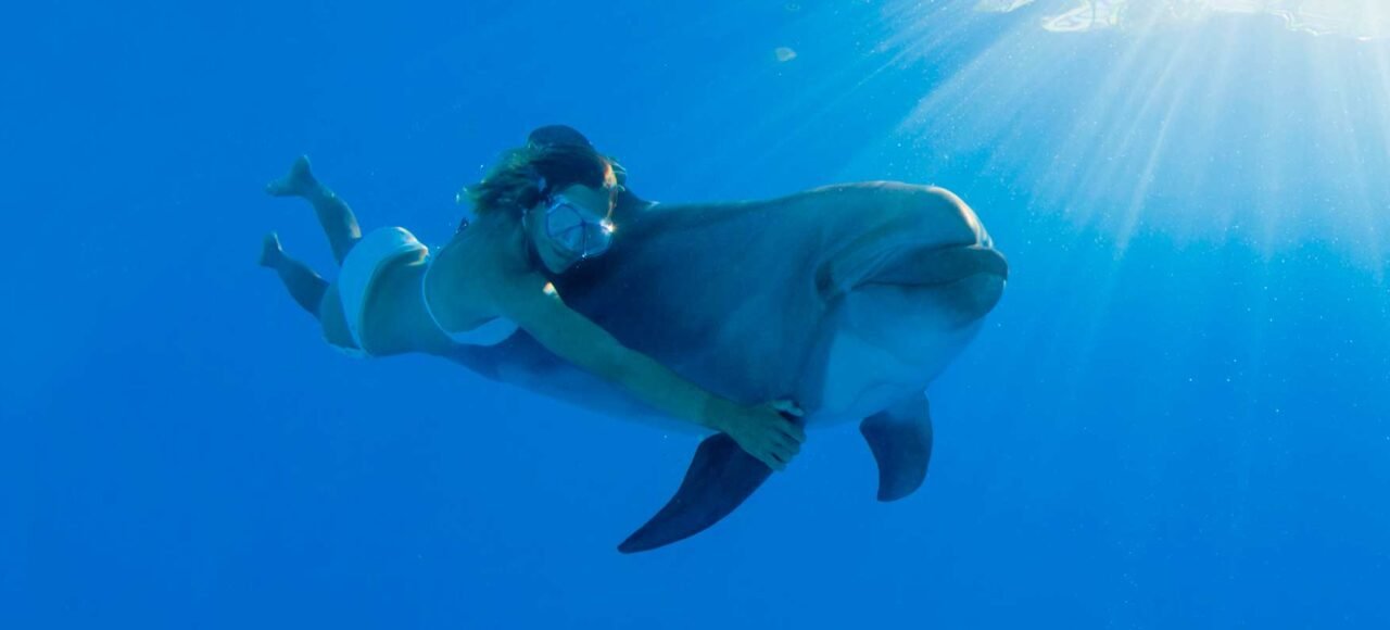 Swim with dolphins in Cabo Adventures