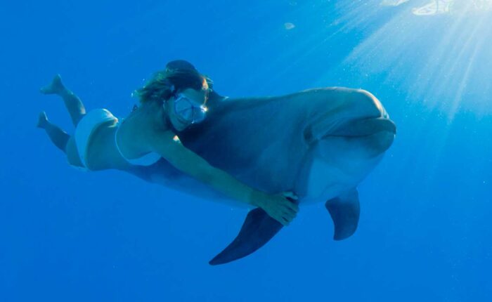 Swim with dolphins in Cabo Adventures