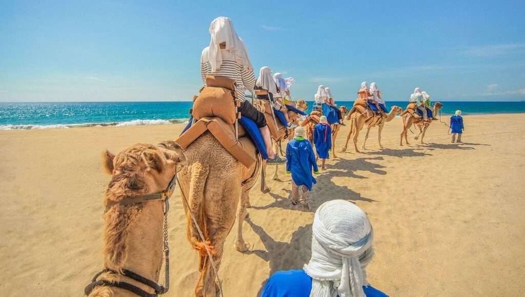 Camel ride in Los Cabos