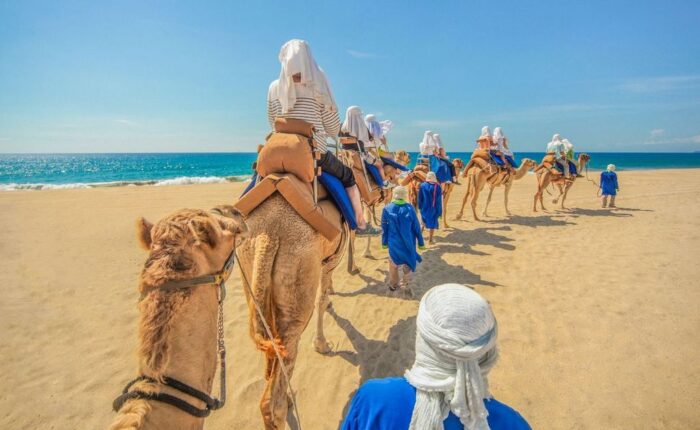 Camel ride in Los Cabos