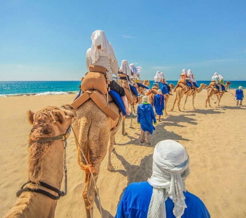 Camel ride in Los Cabos