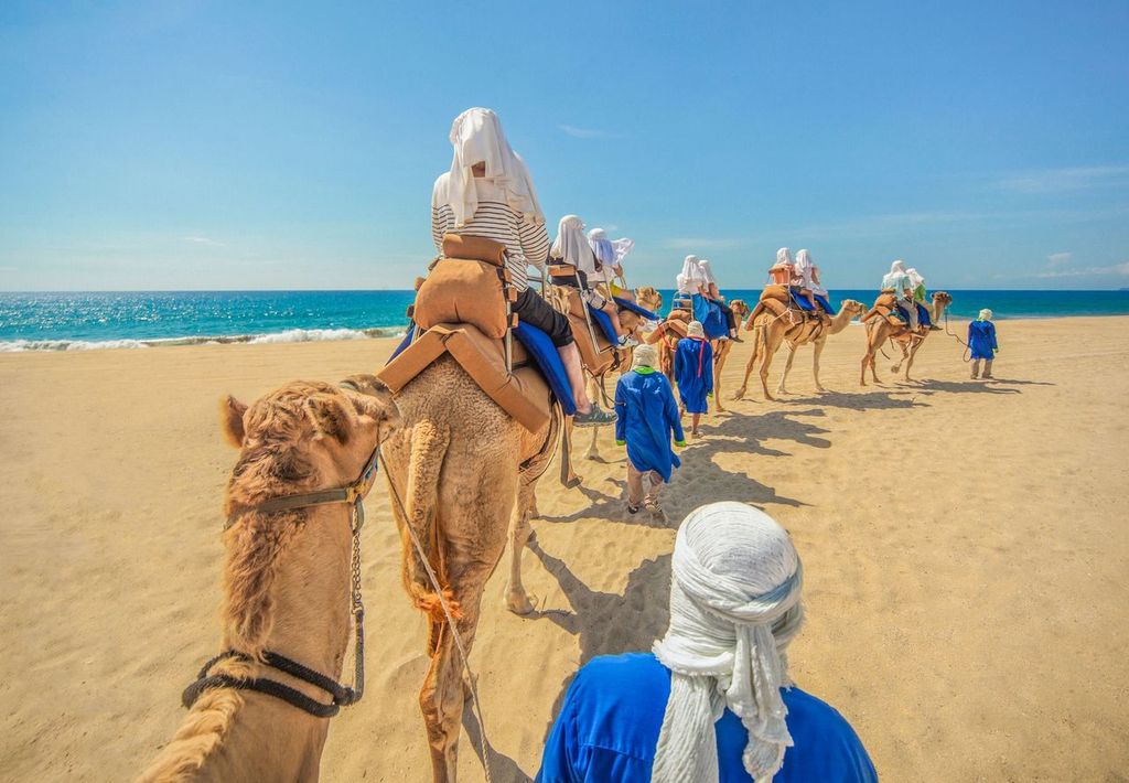 Camel ride in Los Cabos