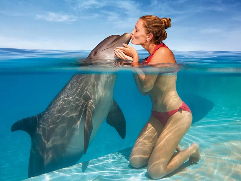 Swim-with-Dolphins-Los-Cabos